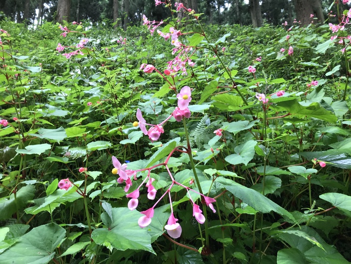 おすすめ 那珂川町観光協会オフィシャルサイト おすすめ 那珂川町観光協会オフィシャルサイト